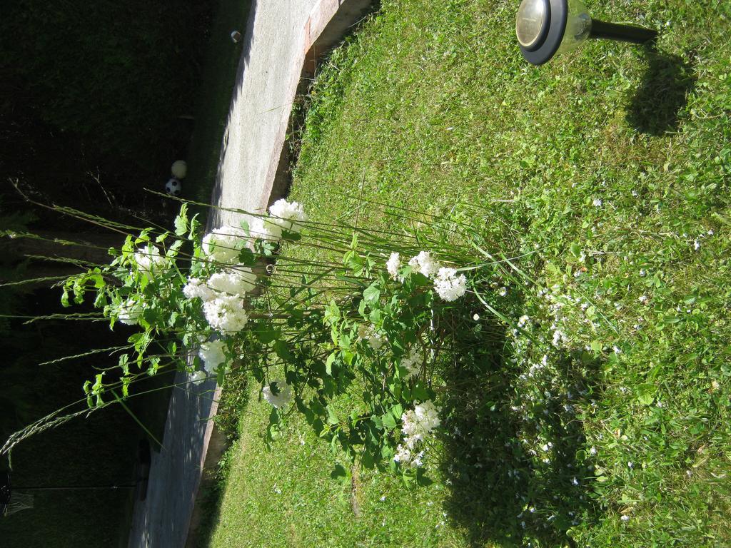 Grand Dans Avec Parking Quartier Residentiel Joigny